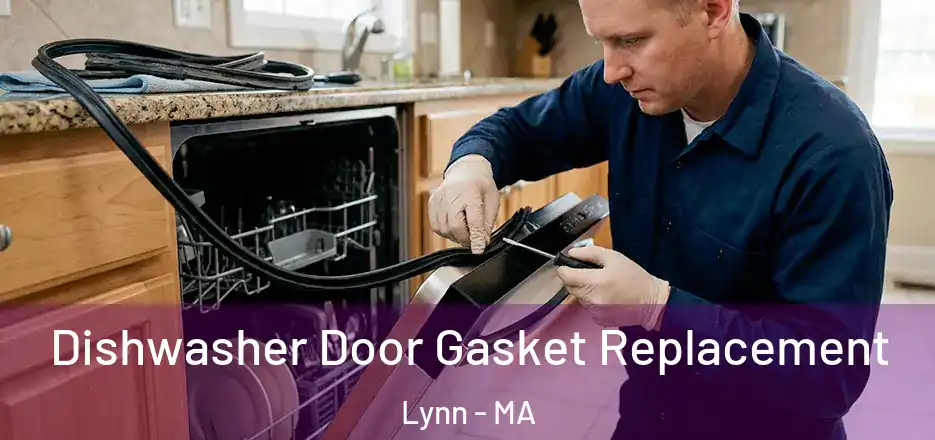 Dishwasher Door Gasket Replacement Lynn - MA