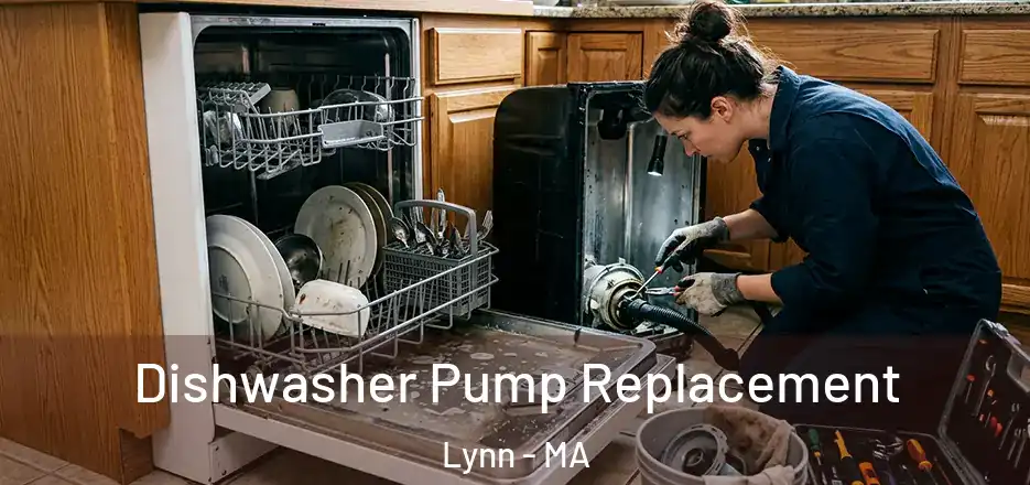 Dishwasher Pump Replacement Lynn - MA