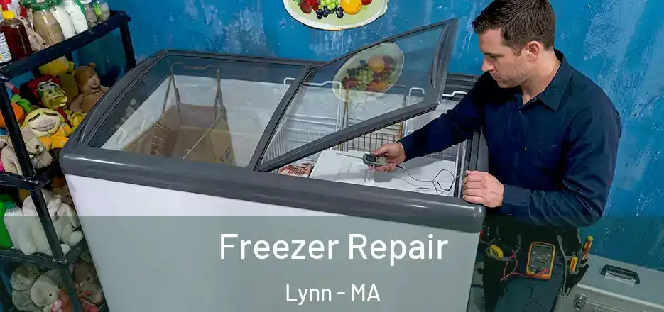 Freezer Repair Lynn - MA