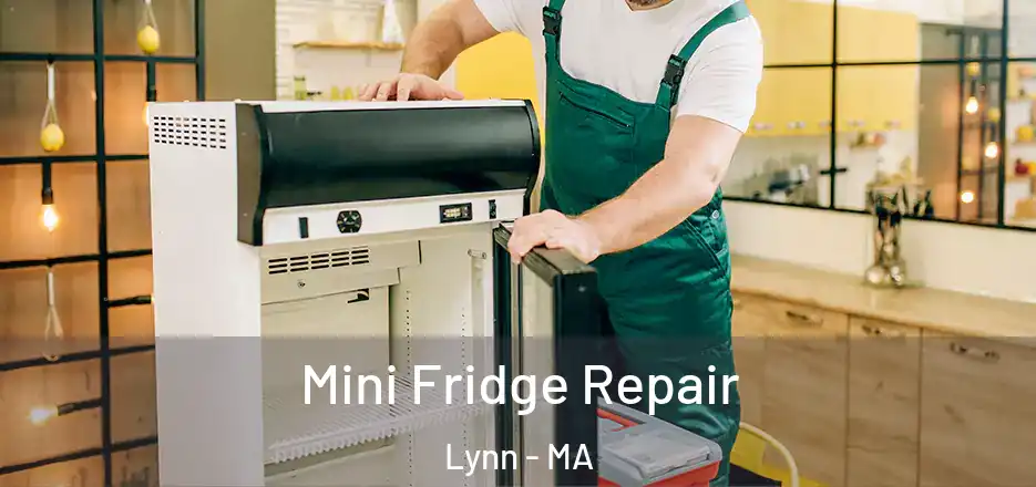 Mini Fridge Repair Lynn - MA